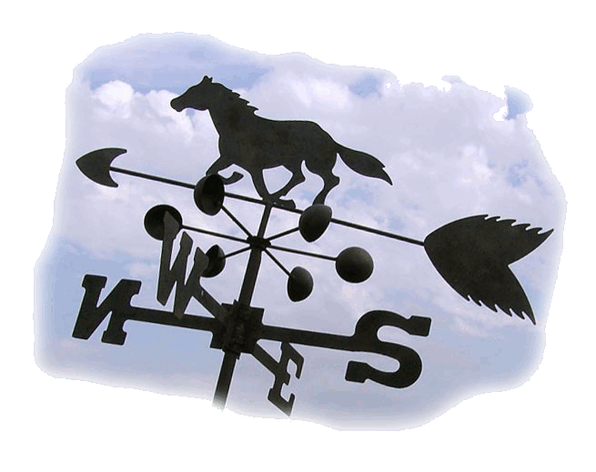 Galloping Winds Ranch