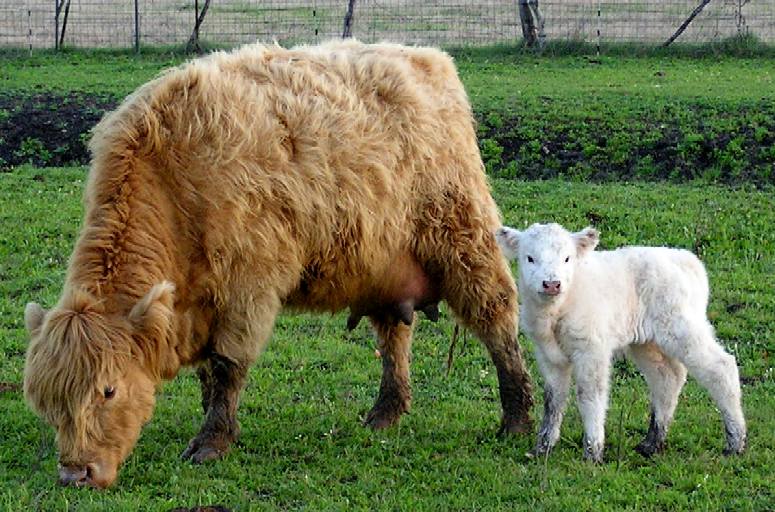 Aimili and Baby, 033110