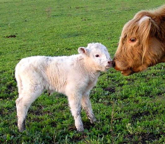 Aimili and Baby, 033110