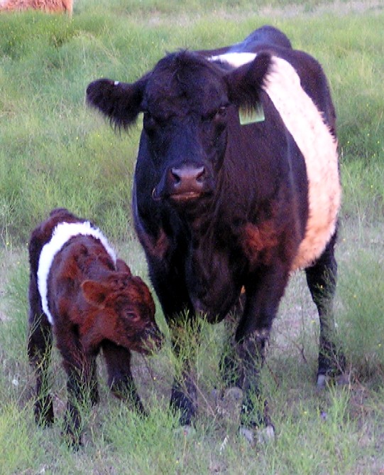 Duncan and Kylie, 08/28/07