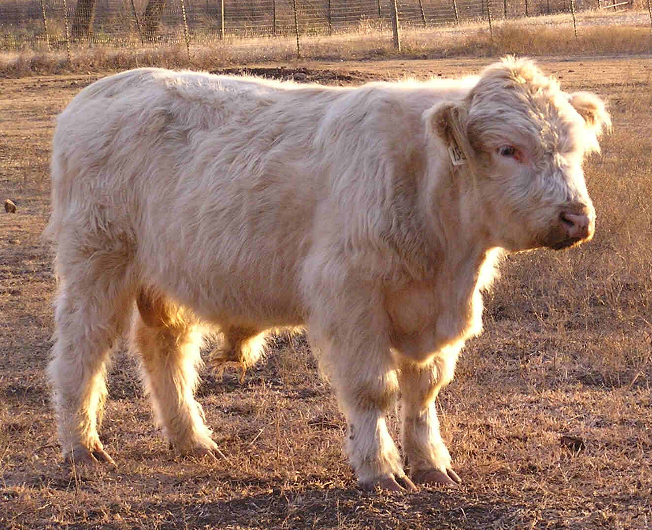 Casper, 12/20/05