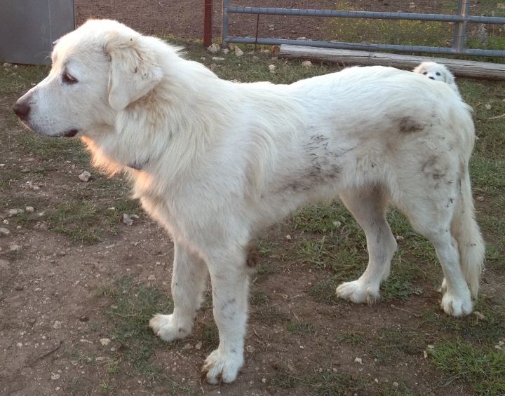 Tundra, October 2012