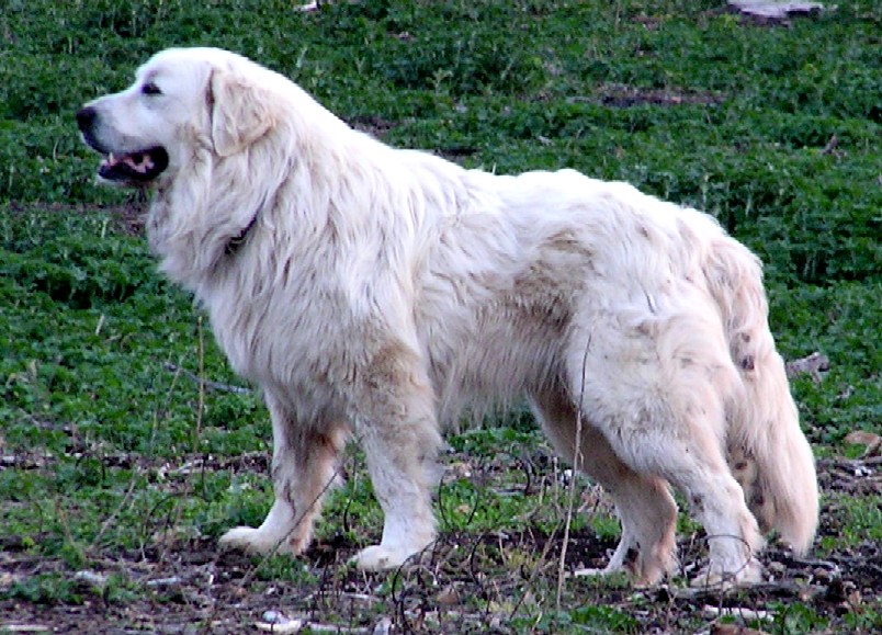 DaKoda, 03/30/08