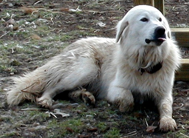 Trina, 2004
