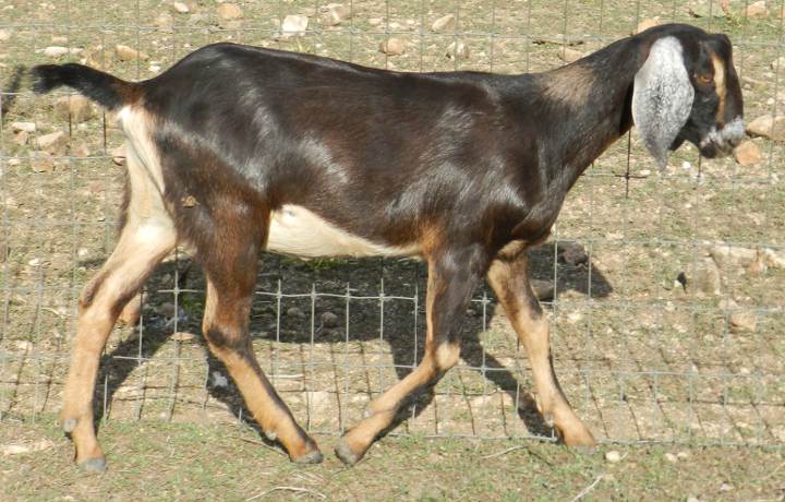 Marie, 11/03/12