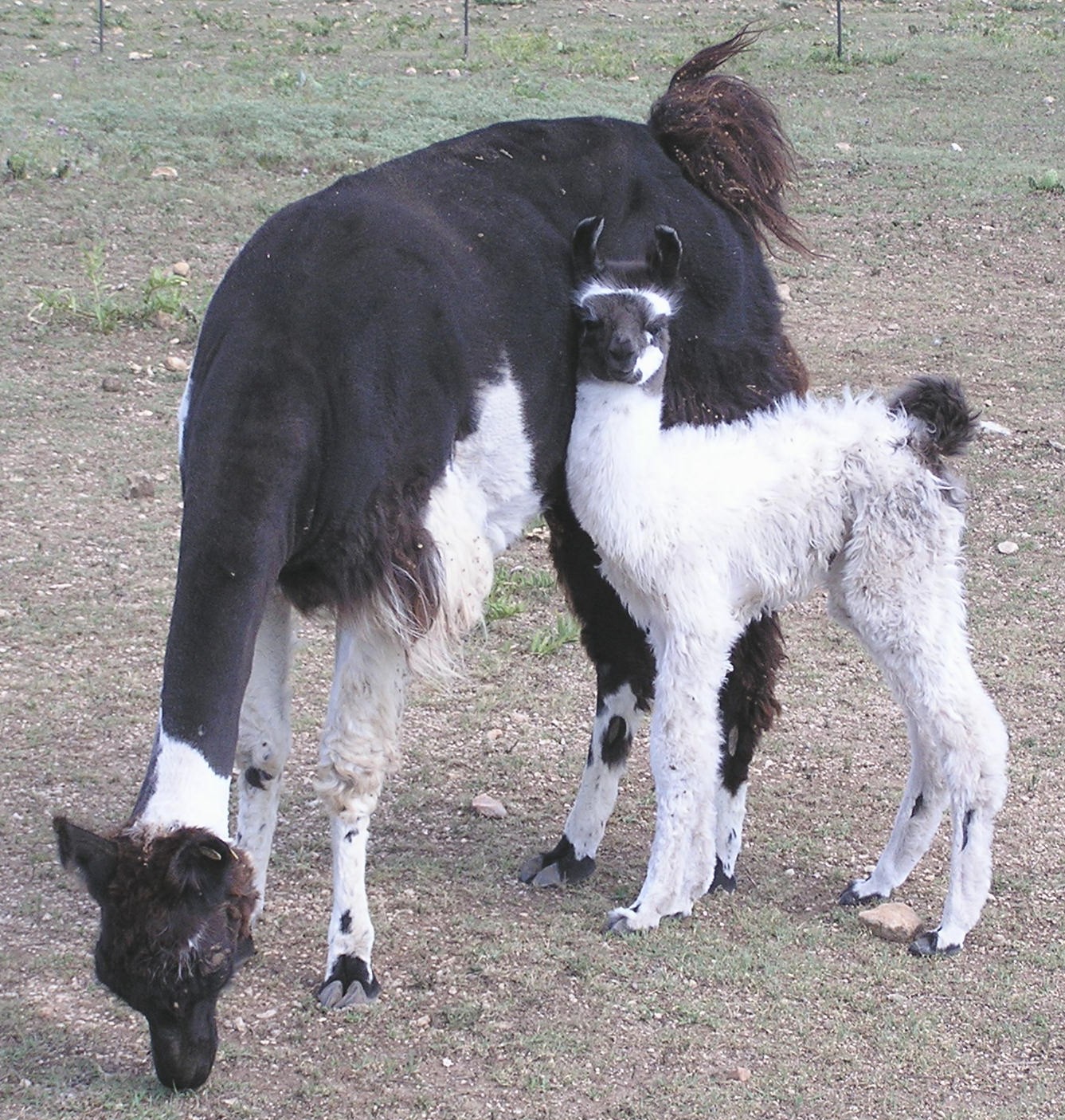 Sterling with mother, Corina, on 06/19/06